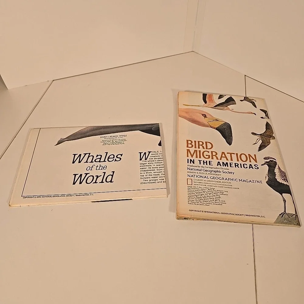 National Geographic Aug 79 Map Bird Migration In The‎ Americas & Whales Of World